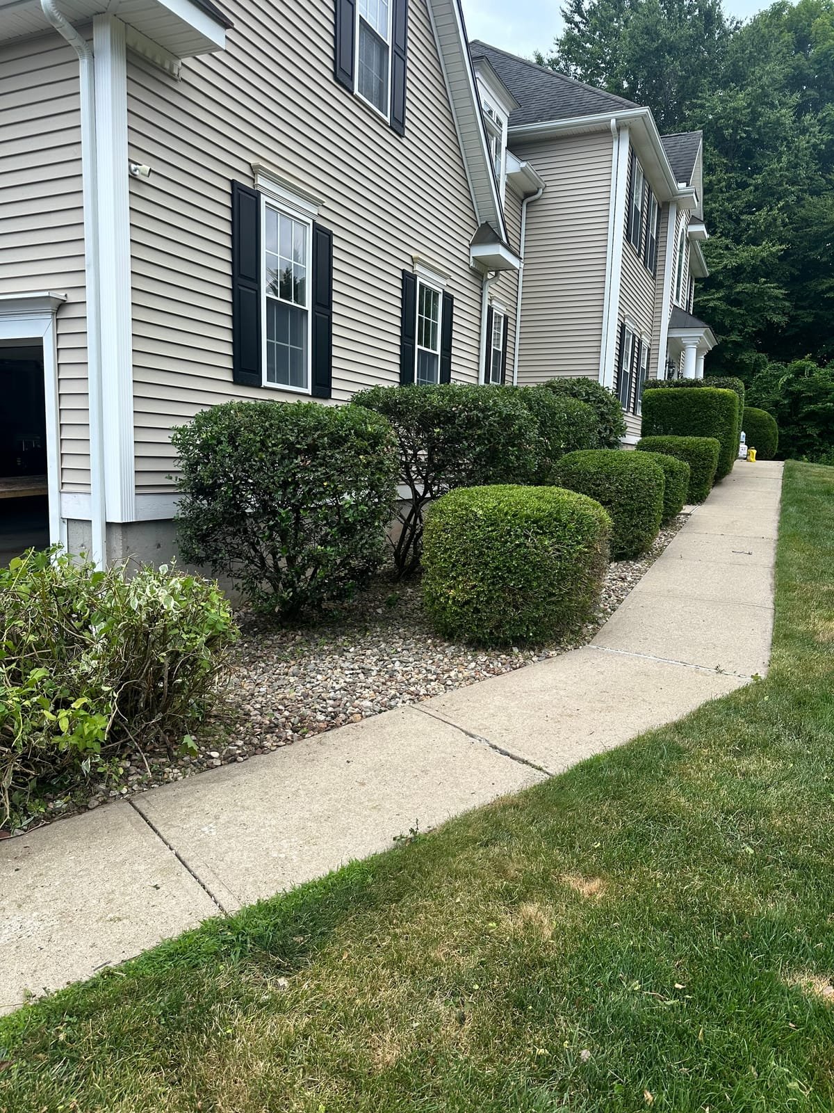 Same walkway with hedges neatly trimmed and shaped after service