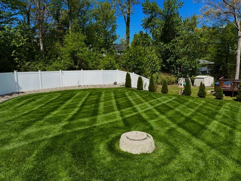 Checkerboard mow pattern on a Bristol, CT backyard