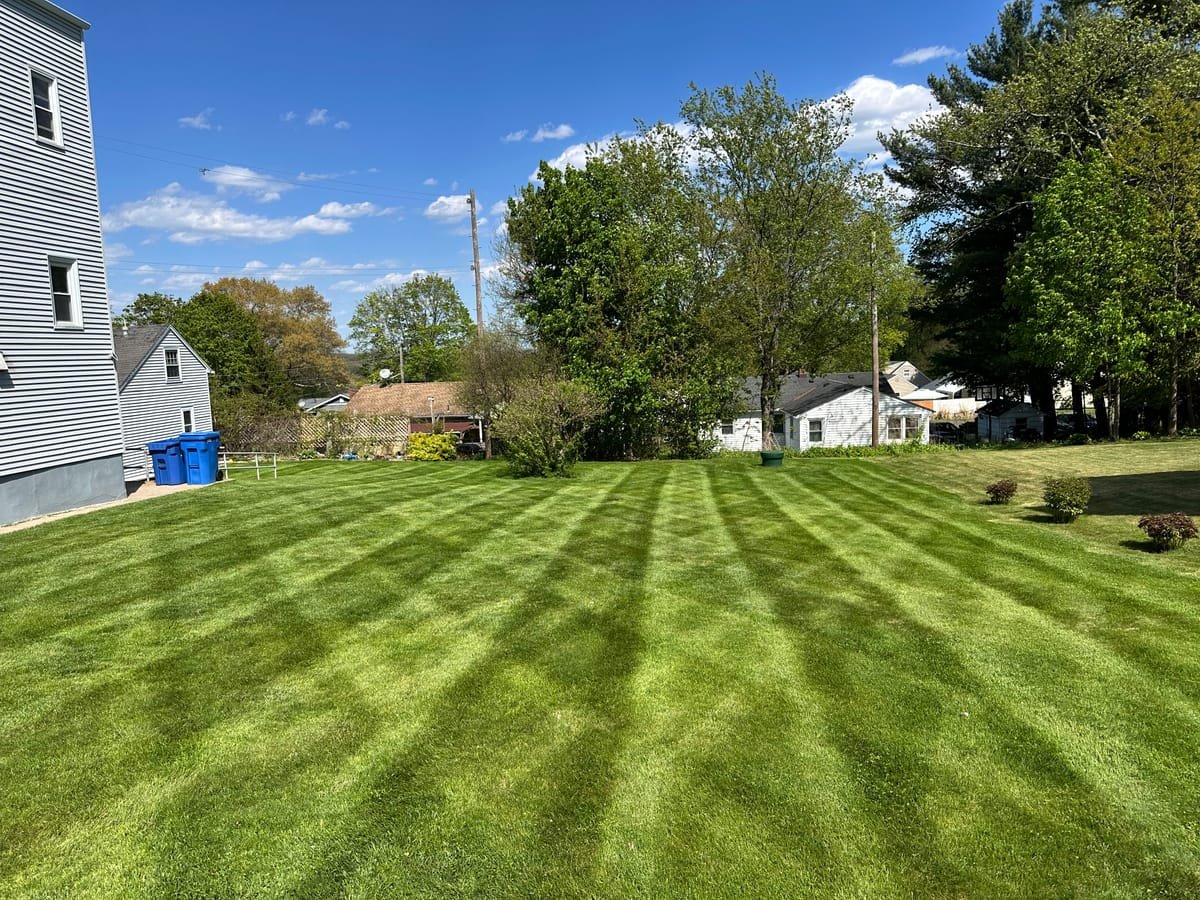 Wide view of a precisely striped front lawn