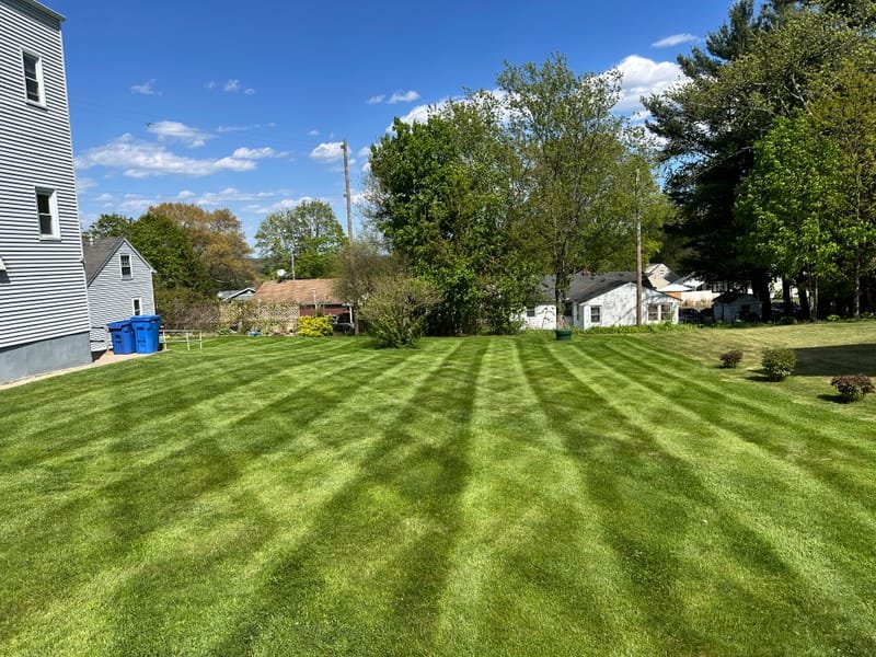 Wide shot of a precisely striped front lawn
